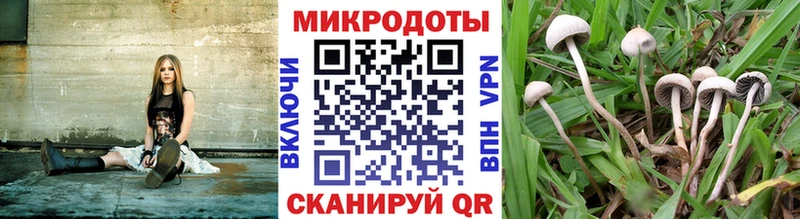 Псилоцибиновые грибы прущие грибы  Приморско-Ахтарск 