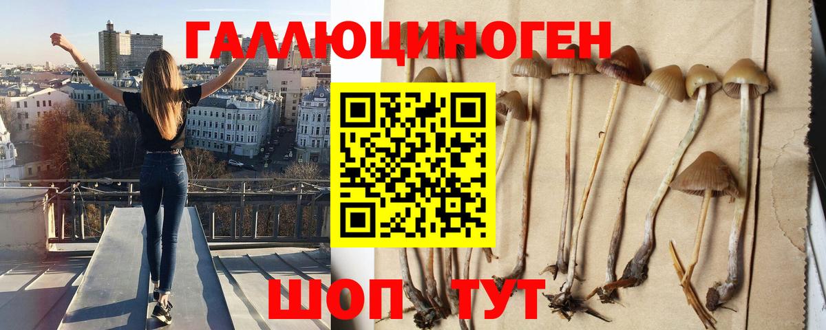 Галлюциногенные грибы прущие грибы Приморско-Ахтарск