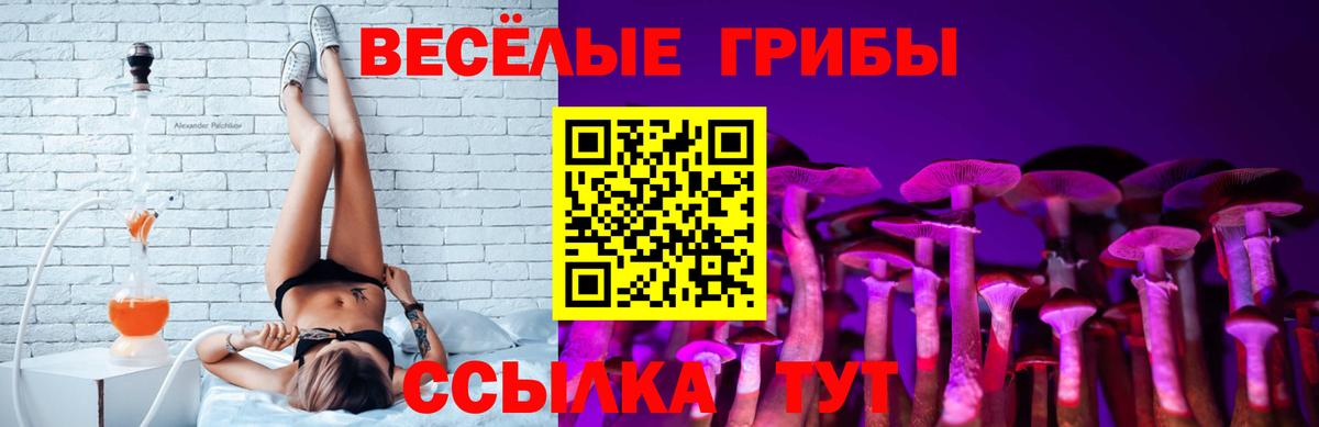 где купить наркоту  Галлюциногенные грибы MAGIC MUSHROOMS  Вход с VPN  Приморско-Ахтарск  Псилоцибиновые грибы Psilocybine cubensis 
